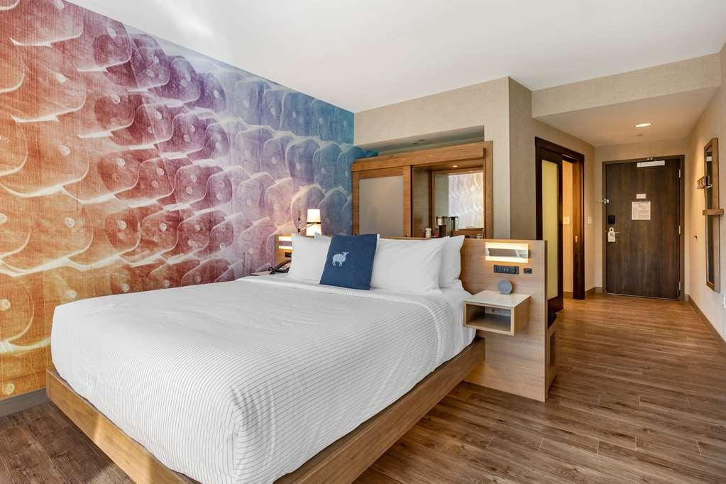 Cambria Hotel Manchester South Windsor Zimmer foto